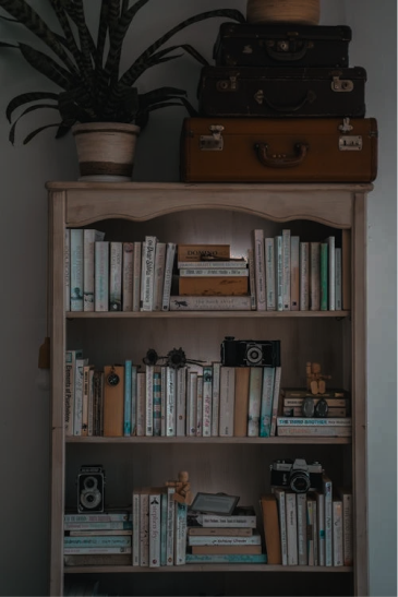 Book Shelves